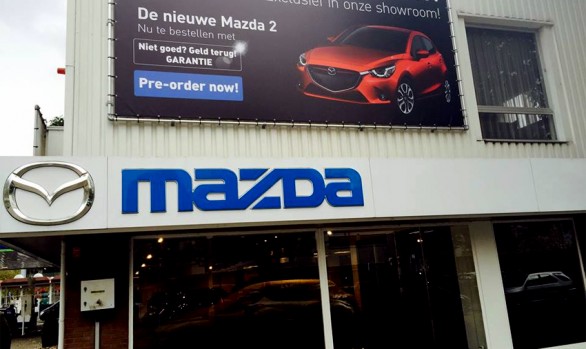 Spandoek showroom