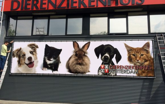 Dierenziekenhuis Rotterdam