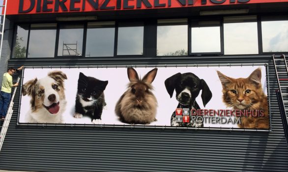 Dierenziekenhuis Rotterdam