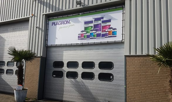 Plagron glorious green