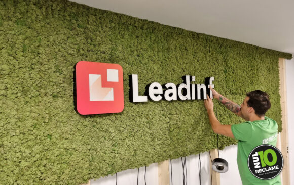 Leadinfo België - Moswand / Doosletters